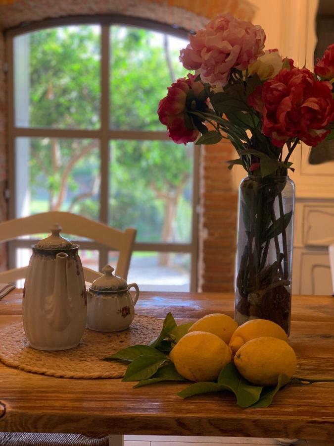 Il Giardino Dei Limoni Bed & Breakfast Suvereto Luaran gambar